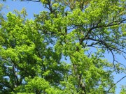 UTW Kutno IMG_7351.jpg